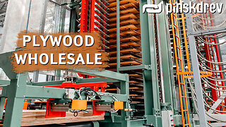 How it's made: Plywood. Production of plywood / PLYWOOD WHOLESALE from the manufacturer Pinskdrev