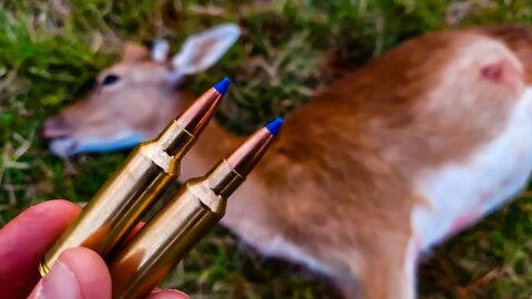 300 WSM vs Deer #deerhunting #deerseason