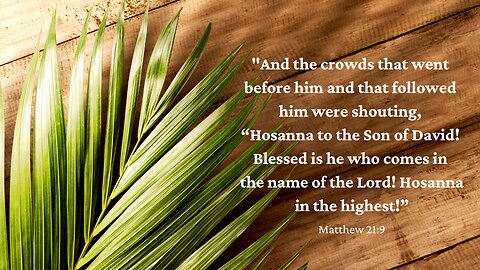 Jesus's Tough Words On Palm Sunday