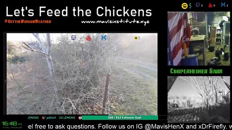 Let's Feed the Chickens: Internet Damn Internet : EP44