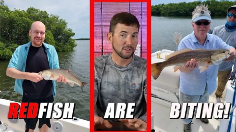 Tampa Bay REDFISH Fishing Report SPECIAL EDITION