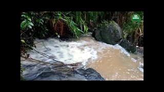 Dormir bem / Som da água /barulho de agua/ cachoeiras/ relaxar e meditar/ água corrente na roça