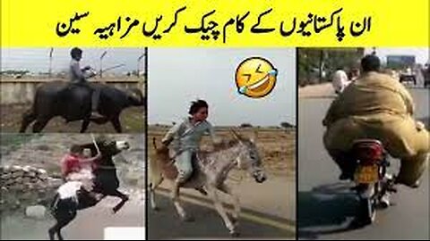 pakistani funy video