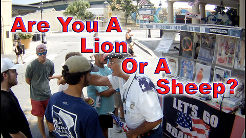 Are You A Lion Or A Sheep?