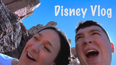 Spend A Day At Disney With Us
