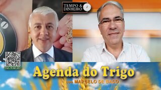 A demanda por trigo é o Dolar index