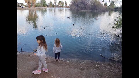 Vivi thought the ducks could eat her. Duck pond park