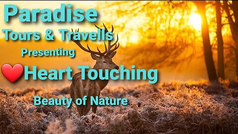 Heart Touching Beauty & Wonders of Nature