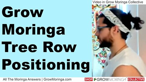 How To Grow Moringa Trees and Row Spacing + Positioning for Drumstick Orchard Farming Intensive Beds