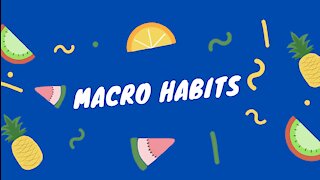 Macro Habits