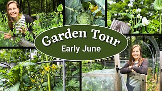Full Vegetable Garden Tour | 2023 Tour #5 | Early June