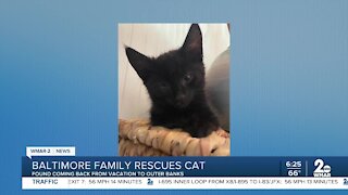 Baltimore family rescues cat