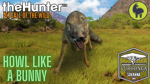 Howl Like A Bunny, Vurhonga Savanna | theHunter: Call of the Wild (PS5 4K)