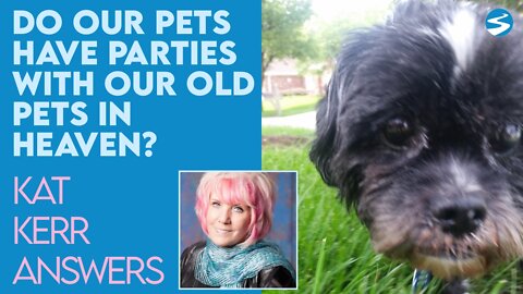 Kat Kerr: Do Our Pets Hang Out with Our Old Pets In Heaven? | Sept 7 2022