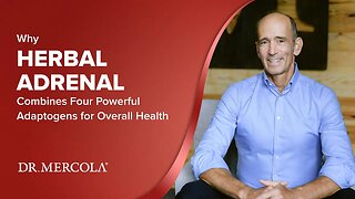 Why HERBAL ADRENAL Combines Four Powerful Adaptogens for Overall Health