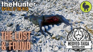 The Lost and Found, Medved Taiga | theHunter: Call of the Wild (PS5 4K)