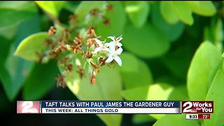 In The Garden with Paul James