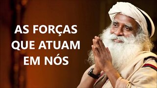 AS FORÇAS QUE ATUAM EM NÓS, SADHGURU, DUBLADO