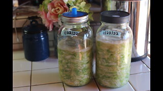 Making Simple Sauerkraut- Full Tutorial