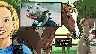 Livestreaming Doggo POV Cam at the ARC [4-18-23] // Animal Rescue Stream // Volunteer :)