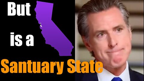 Hypocrite Gavin Newsom Lashes Out; as Illegal Aliens are Sent to "Sanctuary State" California