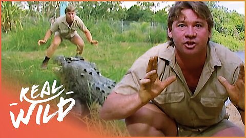 Steve Irwin Faces A Massive Saltwater Crocodile In Australia | Crocs Down Under | Real Wild
