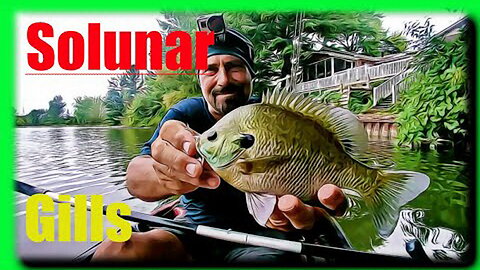 Unlocking Panfishing Success Solunar Periods and Kayak fishing