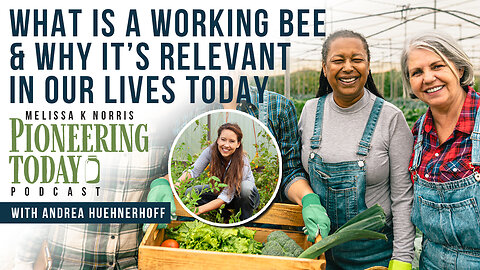 EP: 400 - What is a Working Bee & How it's Relevant in Our Lives Today