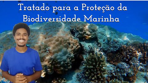 Tratado para a Proteção da Biodiversidade Marinha