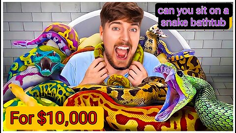 Would You Sit In Snakes For $10,000?