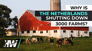 WHY IS THE NETHERLANDS SHUTTING DOWN 3000 FARMS?