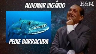 ALDEMAR VIGÁRIO | PEIXE BARRACUDA