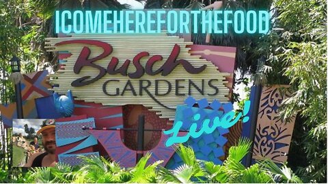 Relaxing day at Busch Gardens Tampa Bay Livestream!