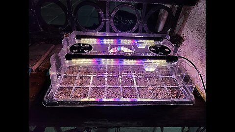 Carzos Seed Starter Tray Kit with Grow Lights, 1 Pack 40 Cells Seed Trays with Humidity Dome, M...