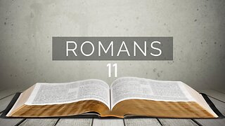 Romans - Chapter 11