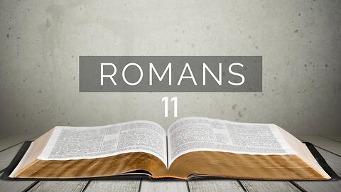 Romans - Chapter 11