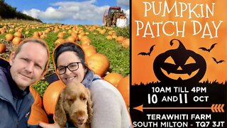 Pumpkin Patch Picking In The UK | Terawhiti Farm Devon | Halloween 2020