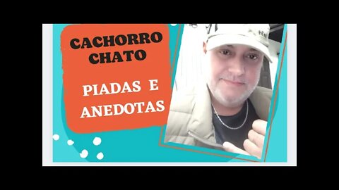 PIADAS E ANEDOTAS - CACHORRO CHATO - #shorts