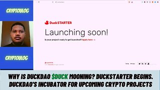 Why Is DuckDAO $DUCK Mooning? Duckstarter Begins. DuckDAO's Incubator For Upcoming Crypto Projects