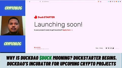 Why Is DuckDAO $DUCK Mooning? Duckstarter Begins. DuckDAO's Incubator For Upcoming Crypto Projects