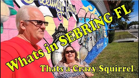 What's in Sebring FL?? A crazy Squirrel Perhaps?