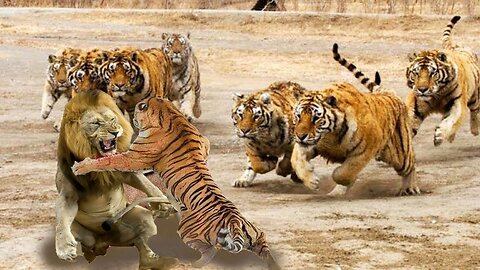 8 Unbelievable Strong Pack Hunter Animals In The Wild Strongest Animals