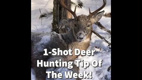 1-Shot Deer Hunting 2022: Deer Hunting Tip Of The Week, Hunting Weather Changes!