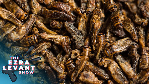 Conspiracy? Elites poised to push insects for human consumption on the masses