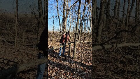 Return to the Woods, Sawing on a log