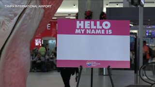 Tampa International Airport launches contest to name flamingo sculpture