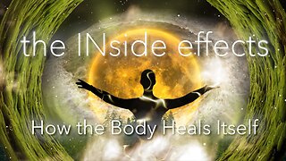 the INside effects: How the Body Heals Itself