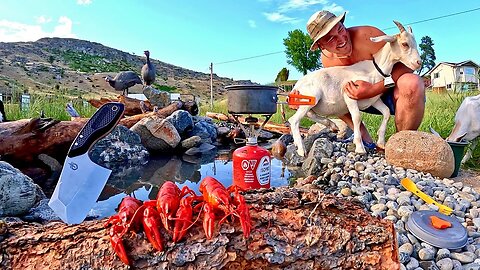 WILD CRAWFISH Catch & Cook!!! POND BUILD at the Mountain Farm!