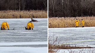 Deer rescued from thin ice in Prior Lake