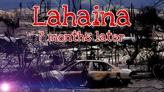 Lahaina Update